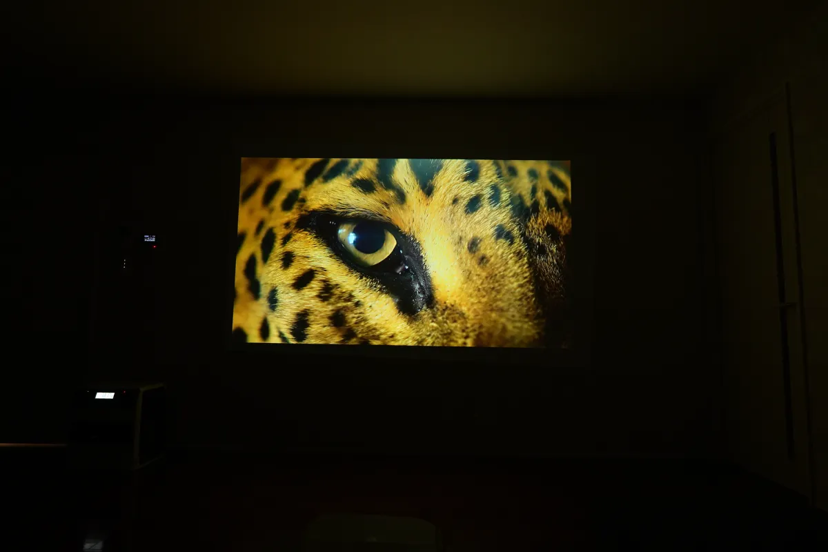 Nebula P1 暗室での投影