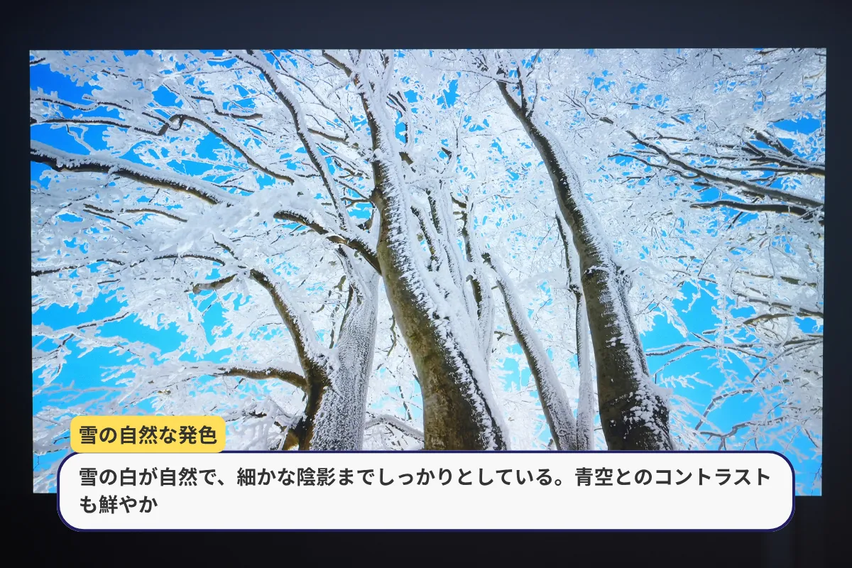 雪景色映像。雪の自然な白さや木々の細かな陰影、青空との鮮やかなコントラストを確認。